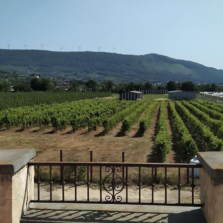 Agriturismo Il Casale del Cavaliere SantʼAgata deʼ Goti Esterno foto