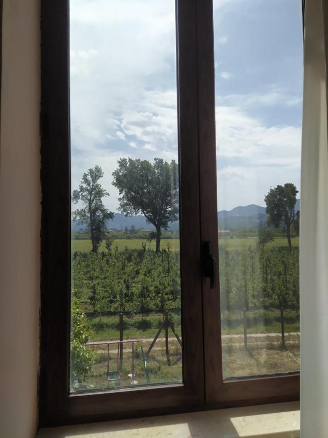 Agriturismo Il Casale del Cavaliere SantʼAgata deʼ Goti Esterno foto