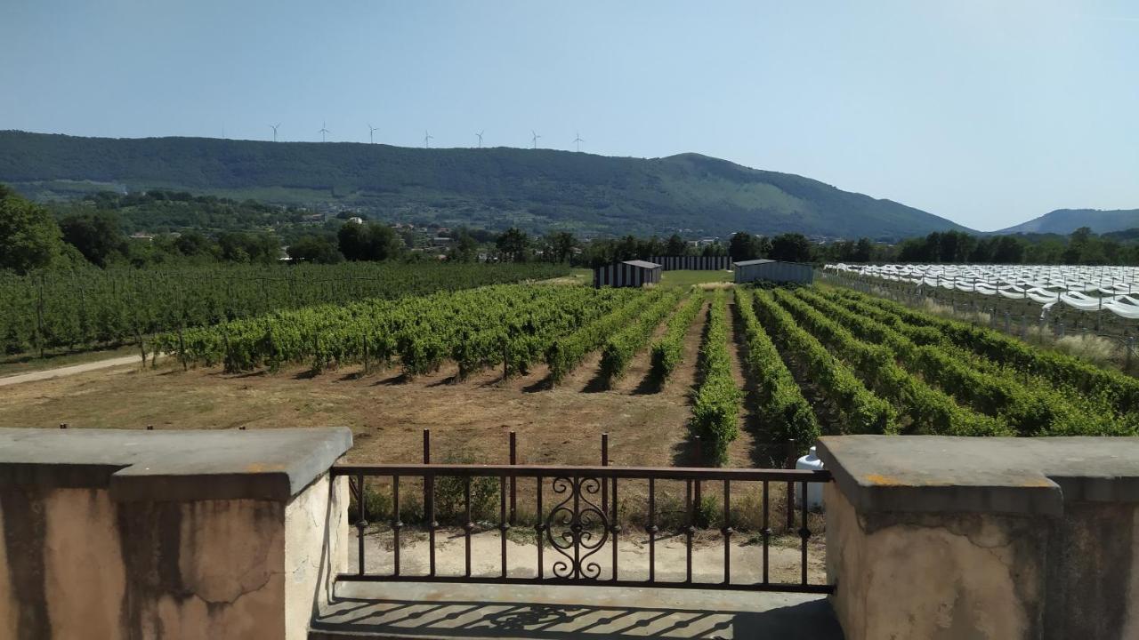 Agriturismo Il Casale del Cavaliere SantʼAgata deʼ Goti Esterno foto