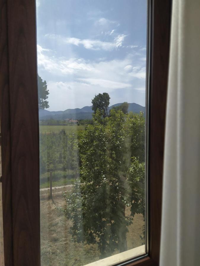 Agriturismo Il Casale del Cavaliere SantʼAgata deʼ Goti Esterno foto